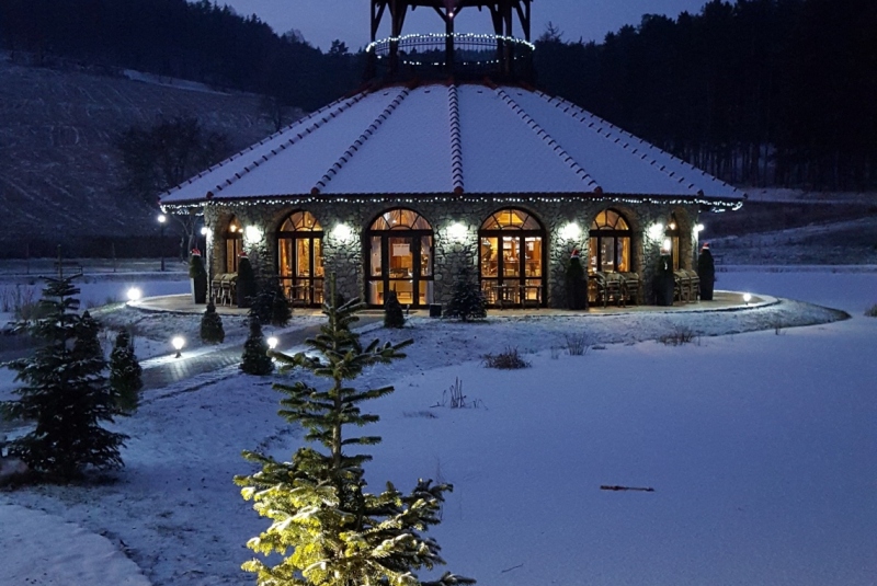 Bašta pri prameni im Winter